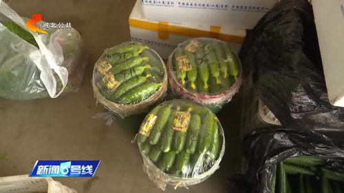 涿州農(nóng)產(chǎn)品市場貨源穩(wěn)定供應(yīng)充足