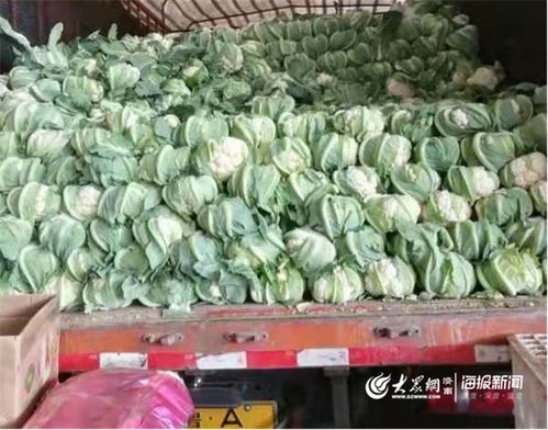 防疫情 保供應 匡山農產品綜合交易市場為市民托穩“菜籃子”農產品