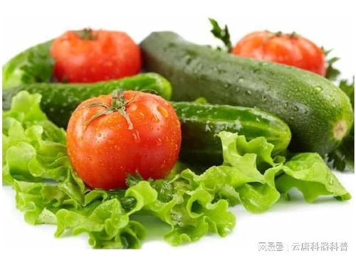 農(nóng)產(chǎn)品農(nóng)藥殘留檢測儀器 保障食品安全的科學(xué)利器