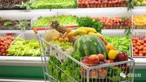 食用農(nóng)產(chǎn)品價格持續(xù)回落，生產(chǎn)資料價格小幅下降