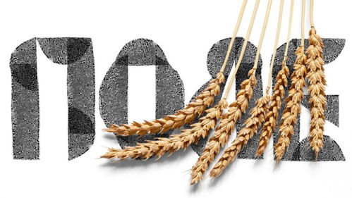 包裝設計精選 zhatva農產品包裝設計如何賦能品牌與市場